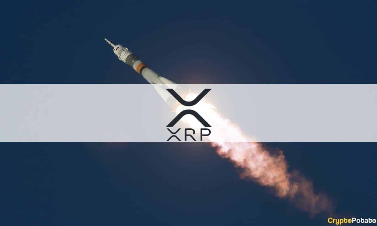 XRP، MATIC Soar دو رقمی، DOGE Only 10 Crypto Top in the Red (Market Watch)