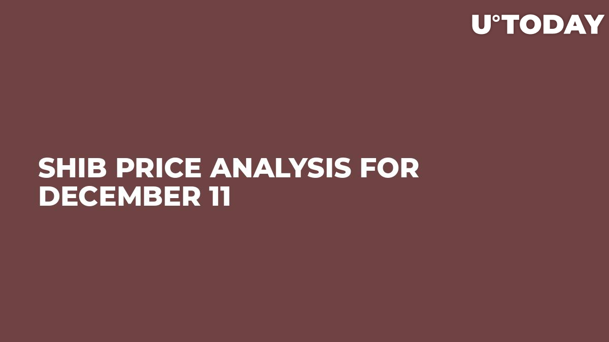 تجزیه و تحلیل قیمت SHIB برای 11 دسامبر