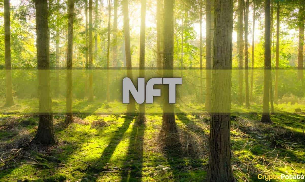 فروش NFT پس از Blowup FTX به پایین ترین حد 16 ماهه رسید