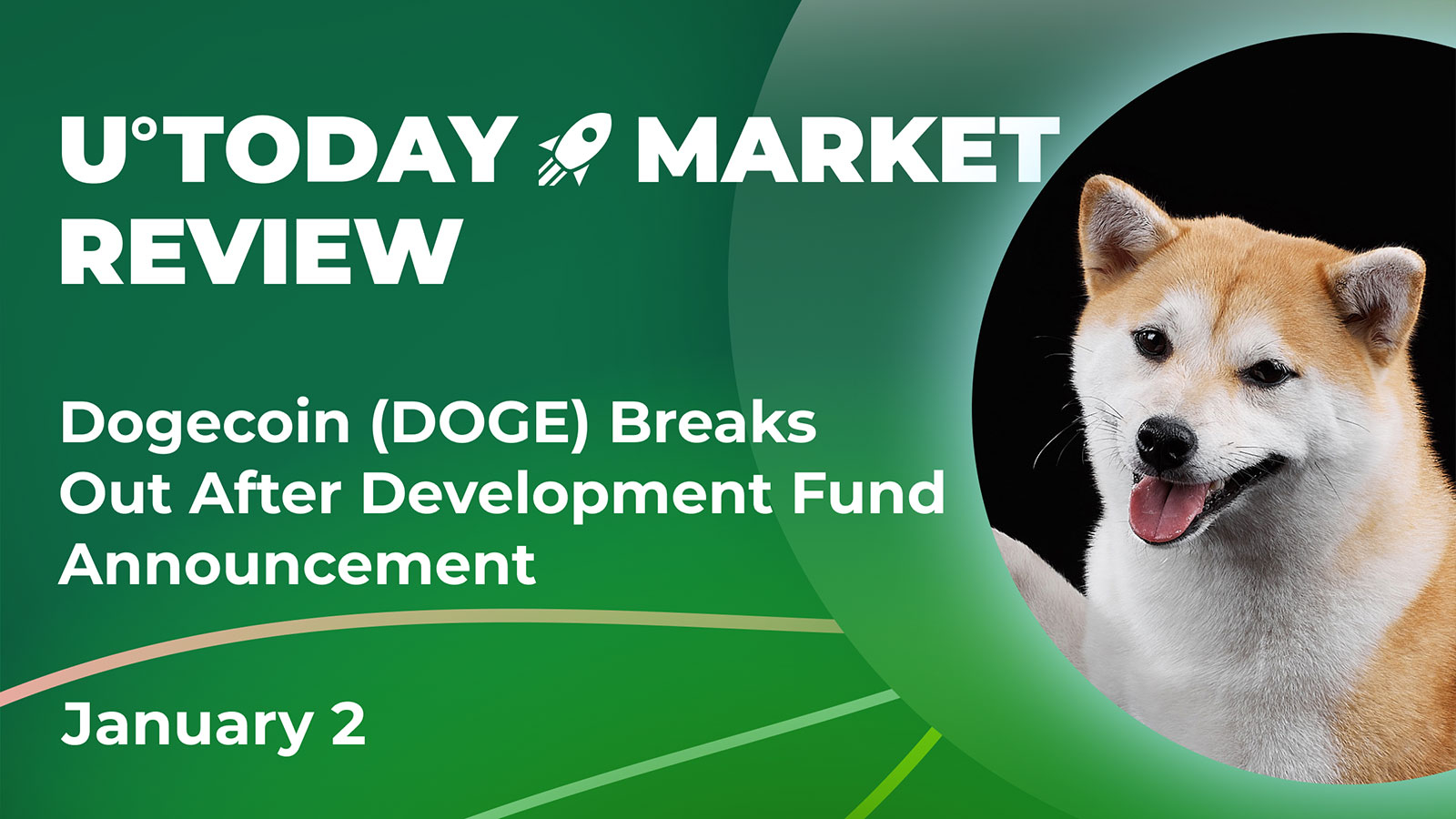 Dogecoin (DOGE) پس از اعلام صندوق توسعه منتشر شد: بررسی بازار کریپتو، 2 ژانویه