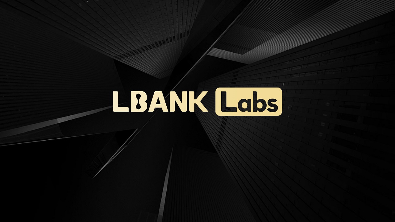 Czhang Lin استراتژی سرمایه گذاری آزمایشگاه های LBank را در Web3 توضیح می دهد – مصاحبه با بیت کوین نیوز