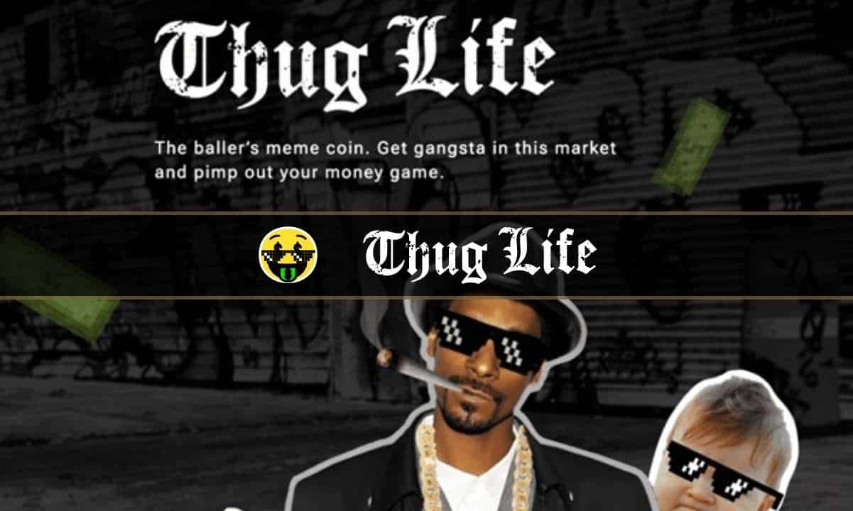 جدید Meme Coin Thug Life 275 هزار دلار در پیش فروش جمع آوری می کند که در 14 روز به پایان می رسد