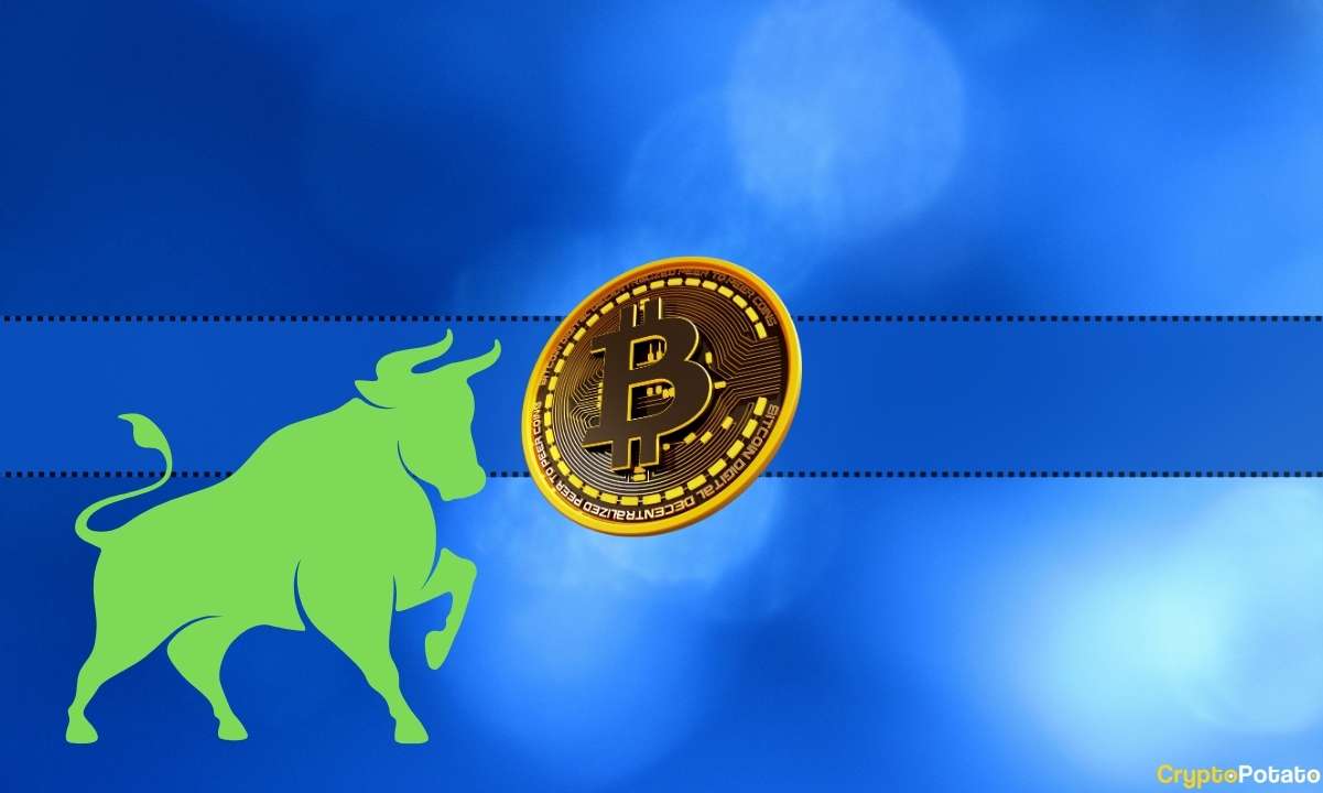 We Asked ChatGPT How High Can Bitcoin Go During the Next Bull Market