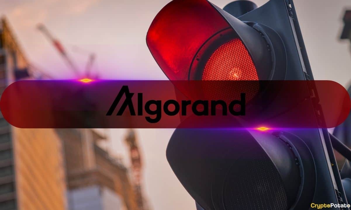 سرمایه گذاران Algorand با شکست مواجه می شوند، 88 درصد از دارندگان ALGO در زیان: تجزیه و تحلیل