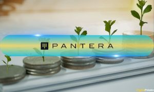 Pantera Capital's Fund V یک میلیارد دلار را برای سرمایه گذاری های متنوع بلاک چین هدف قرار می دهد