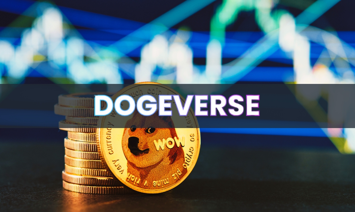 قیمت Dogecoin سقوط کرد اما Dogeverse ICO 800 هزار دلار در دو روز افزایش داد